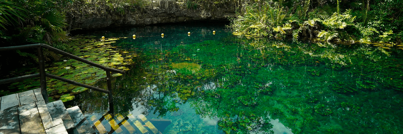 Cenotes and Adventure Tours